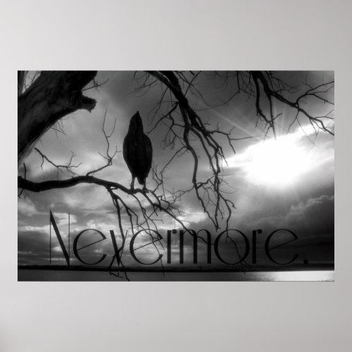 The Raven Print _ Nevermore Sunbeams Tree BW