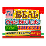 The real crazy bird lady postcard