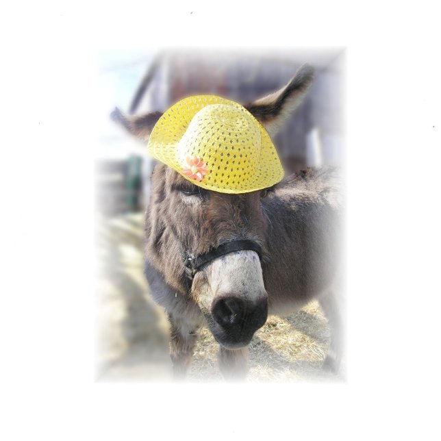 "The Real Easter Bunny" Holiday Card (Creator Uploaded)