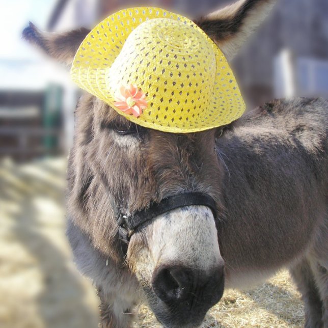 "The Real Easter Bunny" Holiday Card (Creator Uploaded)