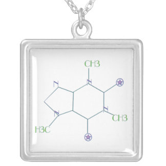 The REAL Girl's Best Friend Silver Plated Necklace