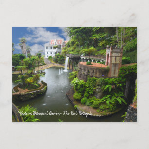 The Real Portugal- Madeira Botanical Garden Postcard