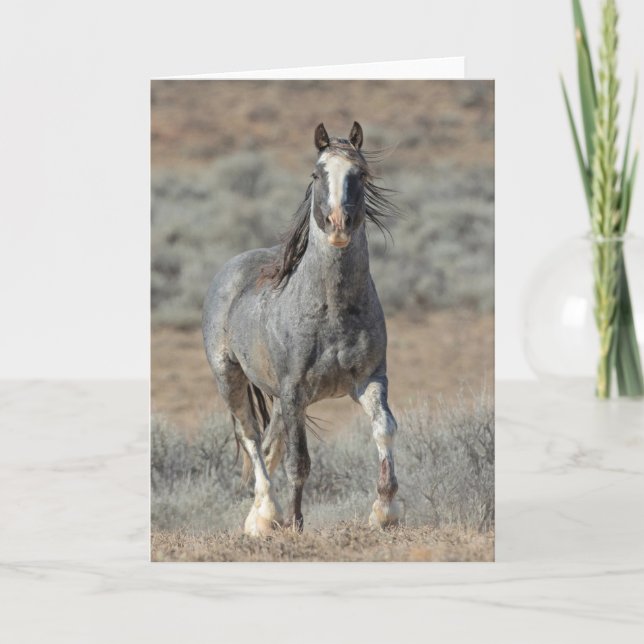 "The Real Wild One" Note Card (Front)