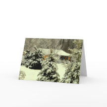 The Reason For The Season