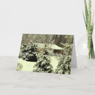 The Reason For The Season Holiday Card