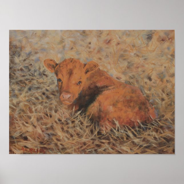 The Red Calf Fine Art Print (Front)