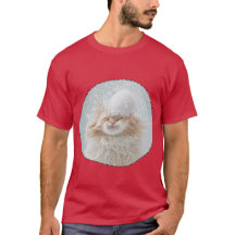 The red cat looks very relaxed, flakes on the
