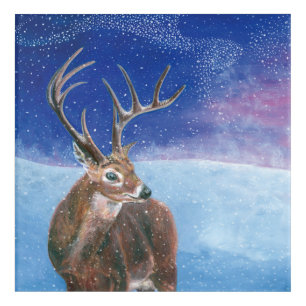 The red deer (Cervus elaphus) Acrylic Print