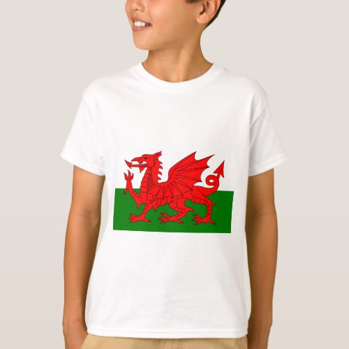 The Red Dragon Flag of Wales T_Shirt