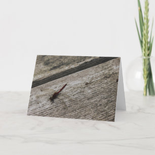 The Red Dragonfly Card