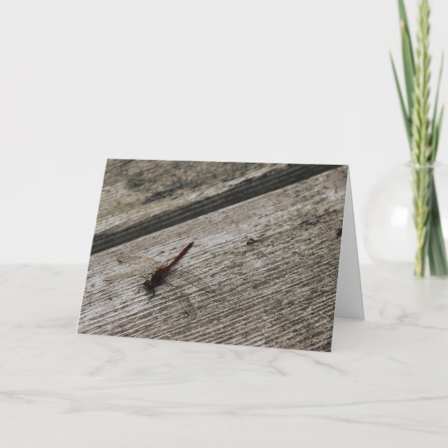 The Red Dragonfly Card (Front)