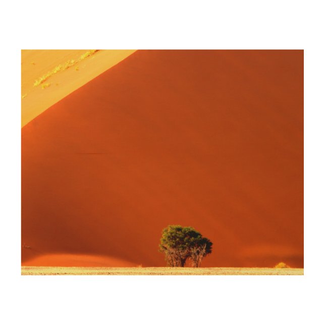 The red dunes of Sossusvlei Wood Wall Art (Front)