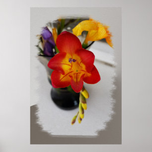 The red freesia poster