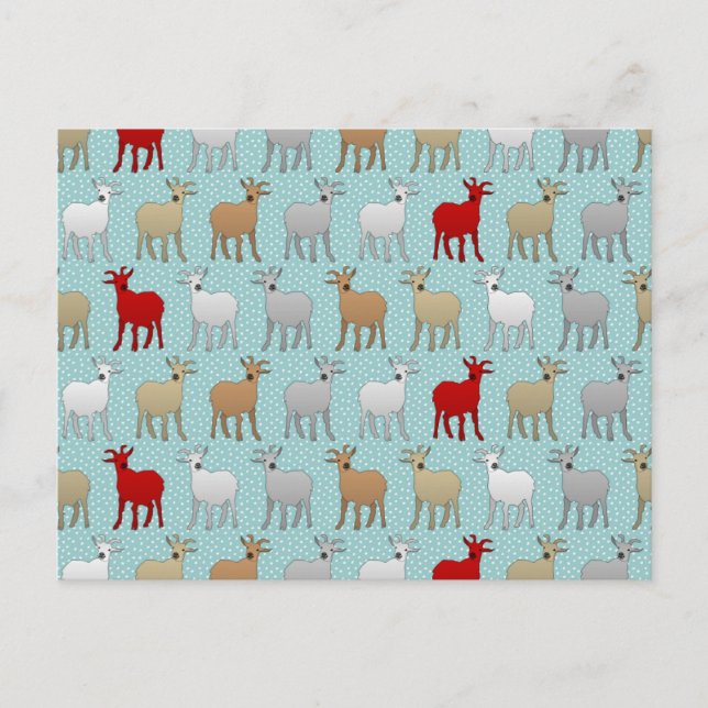 The Red Goat Postcard (Front)