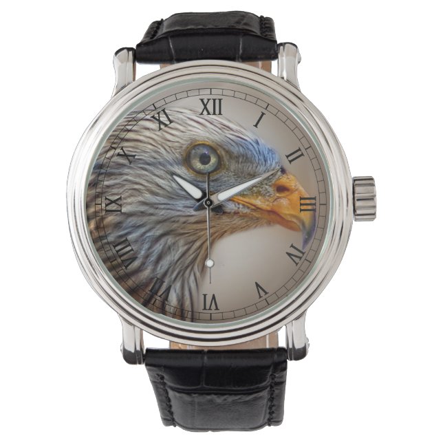 The Red Kite Bird Watch (Front)