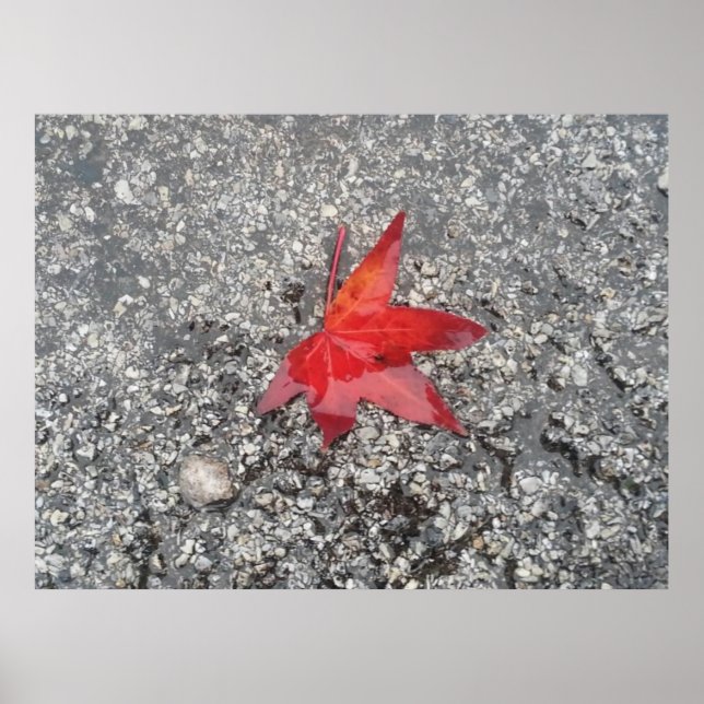 The red leaf office zoom background'- poster (Front)