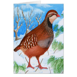 The Red-Legged Partridge Cards