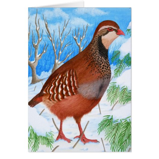 The Red-Legged Partridge Cards (Front)