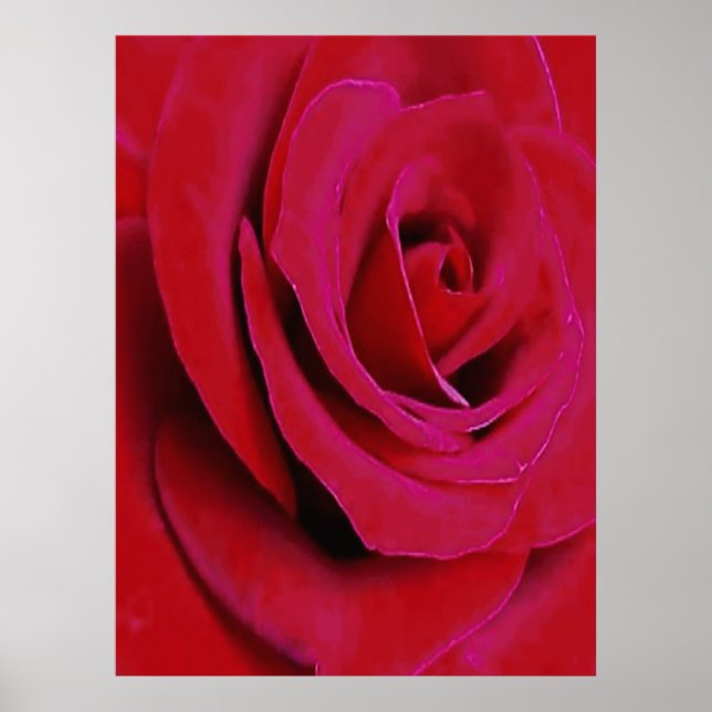 THE RED ROSE                                       POSTER (Front)