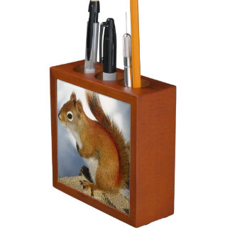 The Red Squirrel Who Stuck Around Pencil/Pen Holder