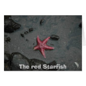 The red Starfish (Front Horizontal)