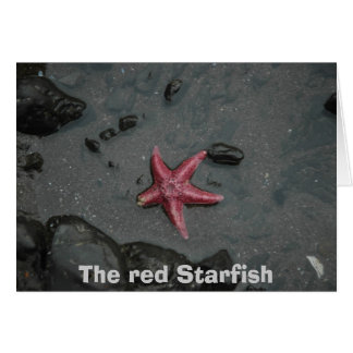 The red Starfish Cards