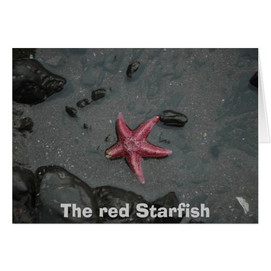 The red Starfish Cards (Front Horizontal)