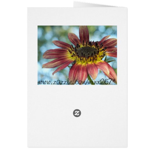 The Red Sunflower -All Occasion Cards (Back)