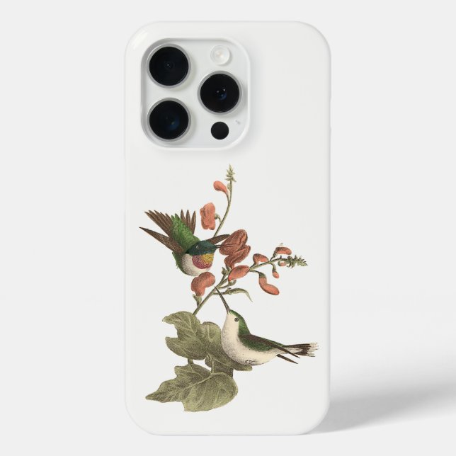 The Red-throated or Ruby-throated Hummingbird Case-Mate iPhone Case (Back)