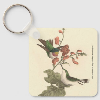 The Red-throated or Ruby-throated Hummingbird Keychain
