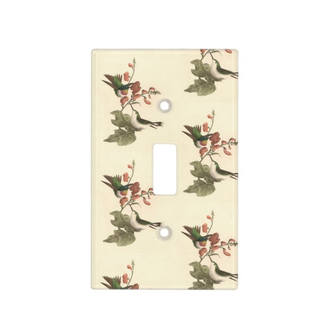 The Red-throated or Ruby-throated Hummingbird Light Switch Cover (Front)