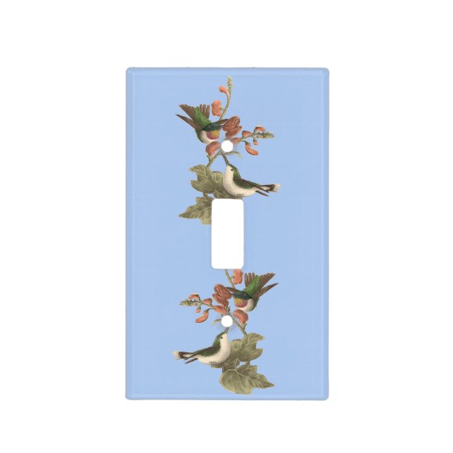 The Red-throated or Ruby-throated Hummingbird Light Switch Cover (Front)