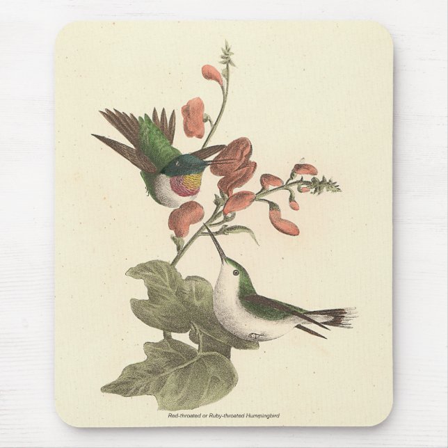 The Red-throated or Ruby-throated Hummingbird Mouse Pad (Front)