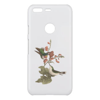 The Red-throated or Ruby-throated Hummingbird Uncommon Google Pixel Case