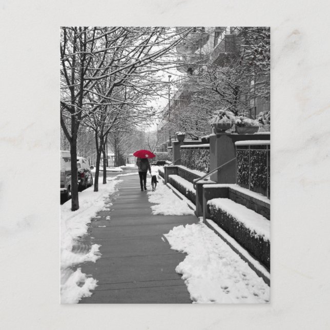 The Red Umbrella Postcard (Front)