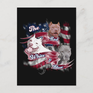 The Red, White & Blue Pitbull Dogs Postcard