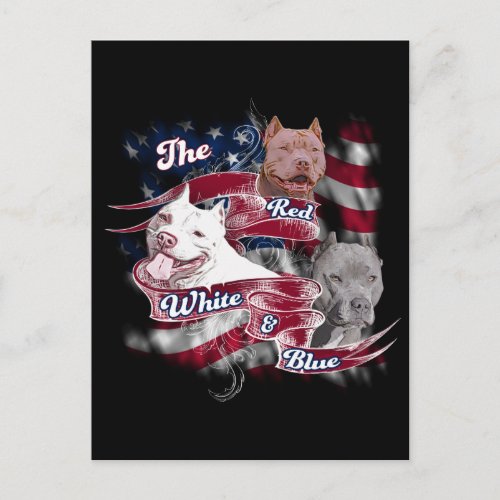 The Red White  Blue Pitbull Dogs Postcard