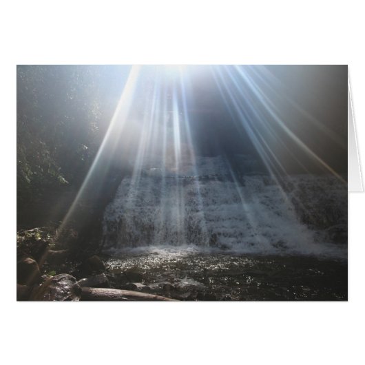 THE REDREAMING. (Front Horizontal)