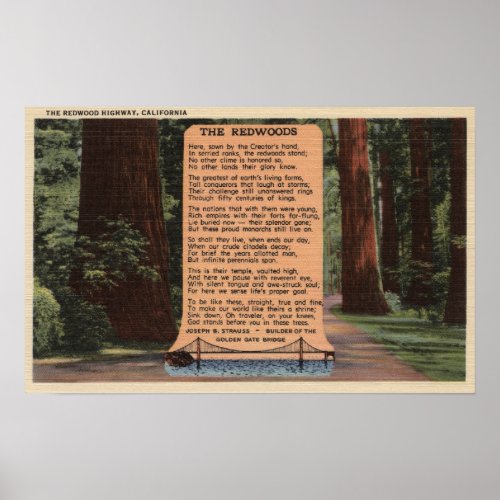 The Redwood Highway Poem by Strauss Poster