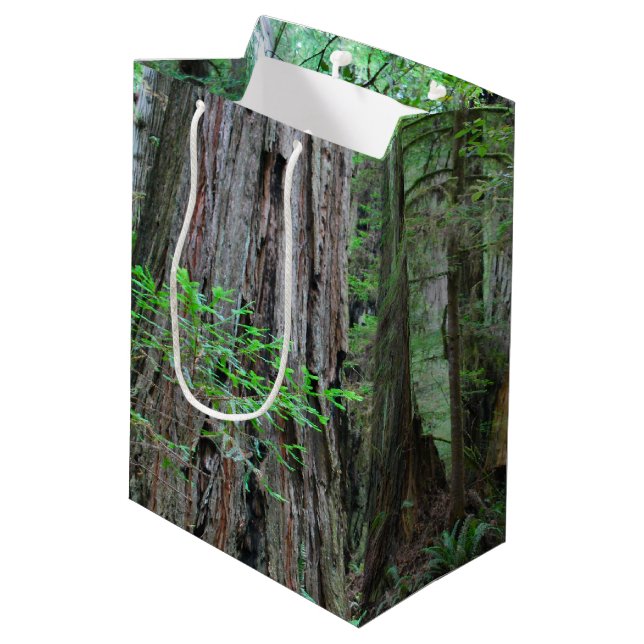 The Redwoods - Sequoia Medium Gift Bag (Back Angled)