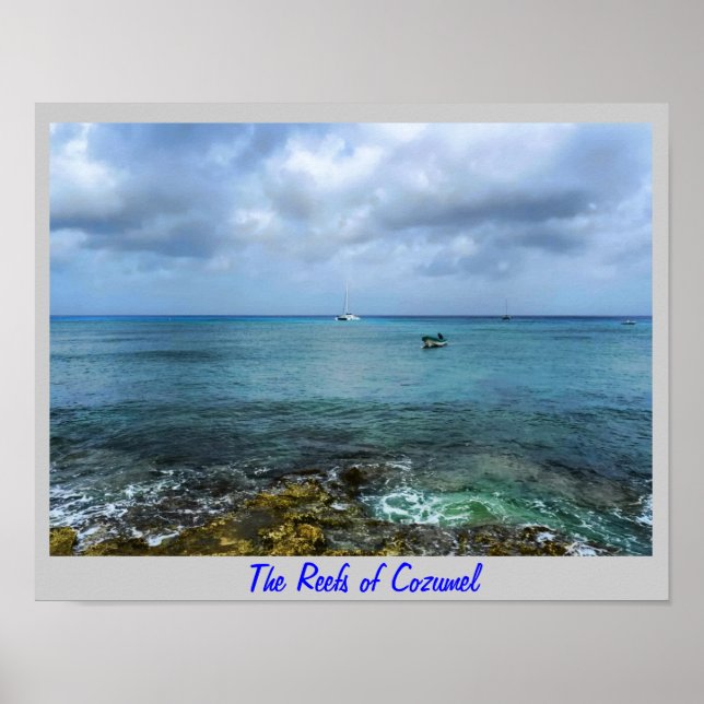 The reefs of Cozumel Poster (Front)