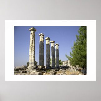 The remainings of ancient Rome Poster