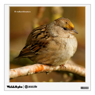 The Resilience of One Golden-Crowned Sparrow Wall Sticker