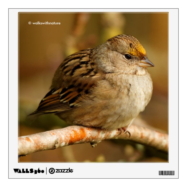 The Resilience of One Golden-Crowned Sparrow Wall Sticker (Front)