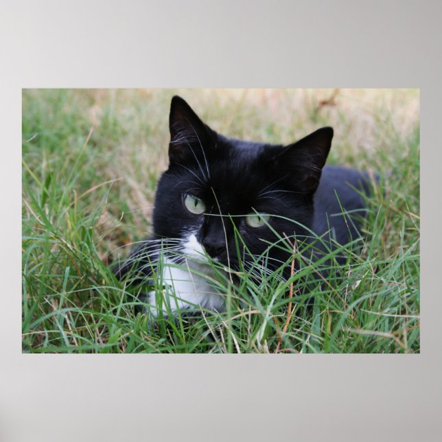 The resting hunter poster (Front)