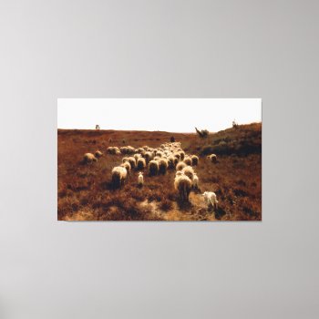 The Return Of The Flock  Laren By Anton Mauve 1887 Canvas Print by TheArts at Zazzle