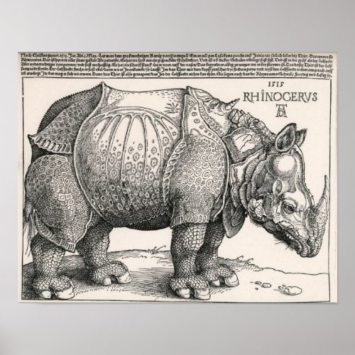 The Rhino Poster