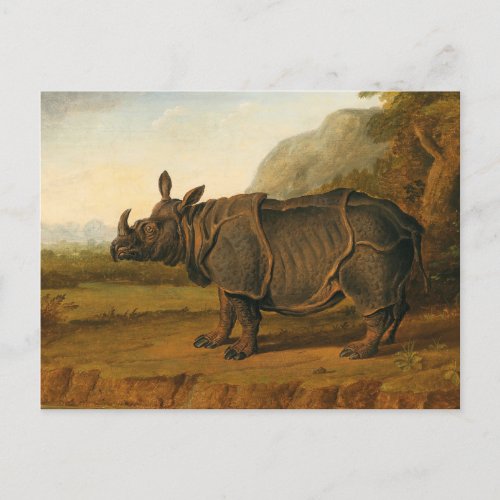 The Rhinoceros Clara by Jean_Baptiste Oudry Postcard