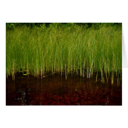 The Ridges Sanctuary Cards (Front Horizontal)