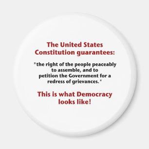 The Right to Assemble - What Democracy Looks Like Magnet